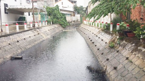 TP.HCM quy định tiêu chuẩn Khu phố không rác thải