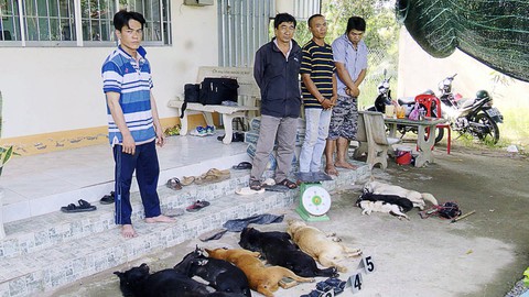 Bắt trộm chó, phát hiện đối tượng tàng trữ ma túy