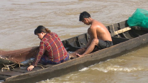Hứng cá miệng cống trữ nước lũ, dân miền Tây thu nhập hơn triệu đồng mỗi ngày