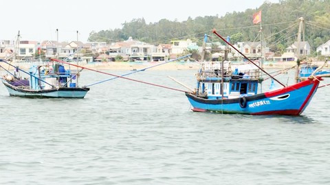 Tàu cá neo đậu tràn lan trong luồng vào cảng Sa Kỳ
