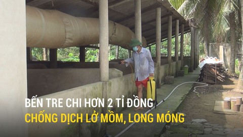 Bến Tre chi hơn 2 tỉ đồng chống dịch lở mồm, long móng