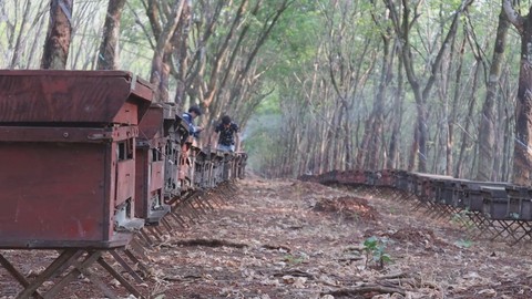 Nguy hiểm và vất vả từ nghề “quay” ong du mục