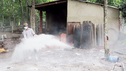 Xuất hiện ổ dịch tả heo châu phi tại huyện Đồng Phú, tỉnh Bình Phước