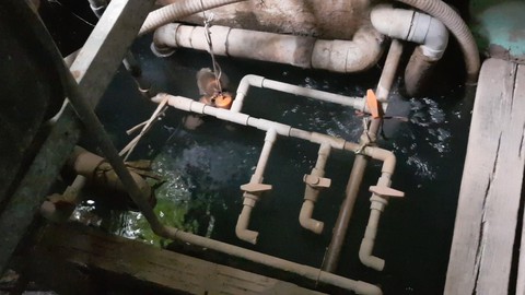 Hàng trăm hộ dân cạnh sông Tiền phải…“khát" nước sạch