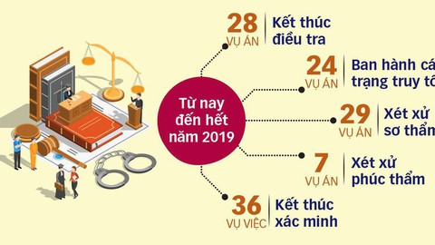 Góc nhìn trưa nay | Công bố 8 “đại án” sẽ xét xử trong năm 2019