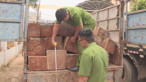 Truy tìm đối tượng chở gỗ lậu liều lĩnh tông xe vào xe công an