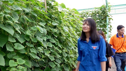 Học sinh thích thú với tiết học trải nghiệm về môi trường