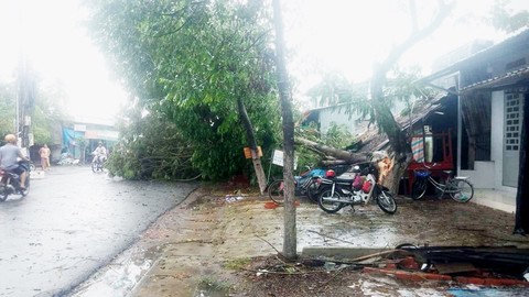 Giông lốc làm tốc mái hơn 300 căn nhà i tại Tiền Giang và Long An