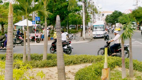 Truy tìm đối tượng chặt phá cây xanh một cách kỳ lạ tại Nha Trang