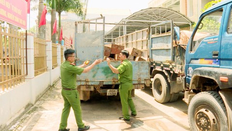 Lâm tặc sử dụng ô tô “quá đát” để vận chuyển gỗ lậu