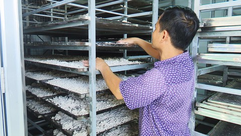 Để người làm bột không phụ thuộc vào con heo