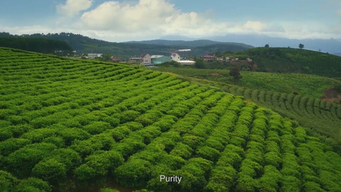 “Đà Lạt - Kết tinh kỳ diệu từ đất lành”, thương hiệu cho nông sản sạch