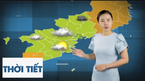 Dự báo thời tiết 21-11: Trời lạnh ở vùng cao, phía Bắc vào mùa tam giác mạch, Đà Lạt nở rộ dã quỳ