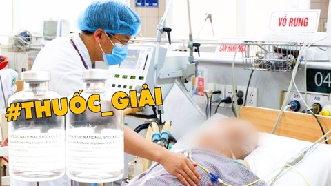 Video: Có thuốc giải độc liên quan đến vụ patê Minh Chay, giá hàng ngàn USD một lọ