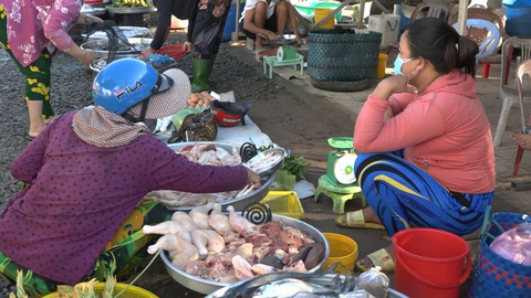Video: Chợ quê vùng lũ đầy ắp cua, cá đồng, bông điên điển trong ngày đầu mở cửa