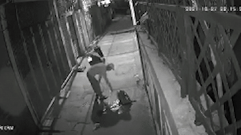 Tin tức, video mới nhất về "Ngược đãi động vật" trên Tuổi ...