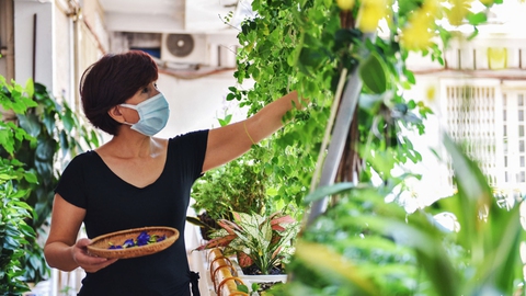 Góc nhìn trưa nay | Chung cư cũ "thay áo" đón năm mới