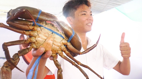 Video: Cận cảnh con cua biển lớn nhất Cà Mau nặng gần 1,5kg, chủ nhân được thưởng 15 triệu