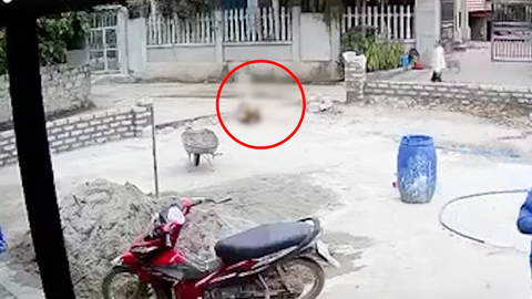 Video: Đứng trên tầng 2 dùng súng ‘tỉa’ 2 người, chồng tử vong, vợ trọng thương, hung thủ tự sát