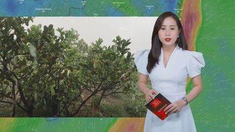 Dự báo thời tiết 6-1: Nam Bộ đề phòng mưa gây hại cho hoa kiểng bán Tết