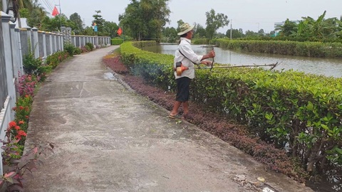 Góc nhìn trưa nay: Hàng rào mắm - mô hình độc đáo chống sạt lở ở Cà Mau