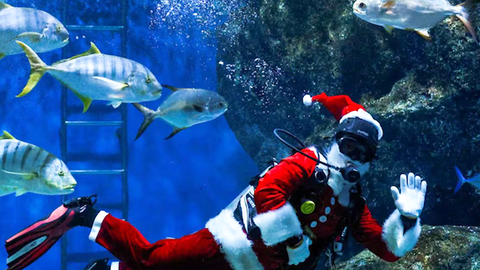 Cùng ngắm những ông già Noel đầy hài hước và sinh động