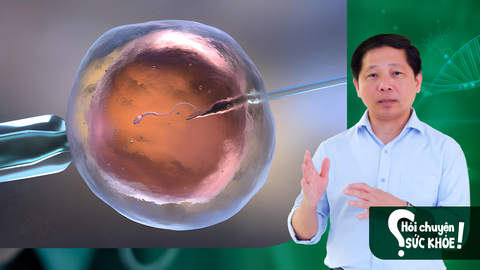 Trong thụ tinh ống nghiệm, bao lâu sau tiêm kích trứng thì có thể hút trứng ra?