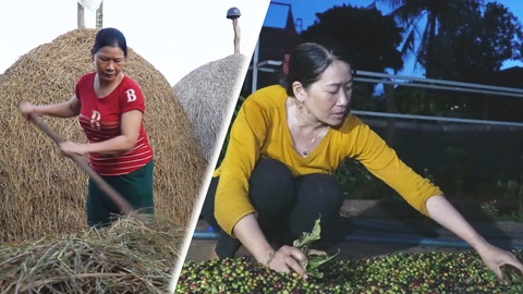 Tiếp sức nhà nông 2023: Giấc mơ thoát nghèo trên cao nguyên đất đỏ