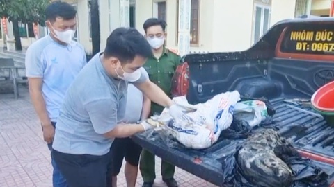 Bắt người đàn ông vận chuyển hai con báo chết trên xe bán tải