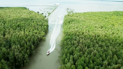 Góc nhìn trưa nay | Ngắm biển và rừng tuyệt đẹp của Cà Mau từ trên cao