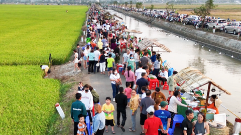 Chợ ẩm thực giữa đồng ở Bà Rịa - Vũng Tàu hút khách, xe hơi đậu hàng dài