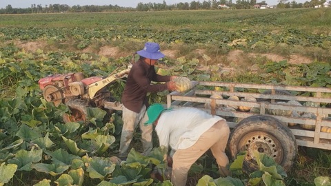 Góc nhìn trưa nay: Sống chung với hạn mặn