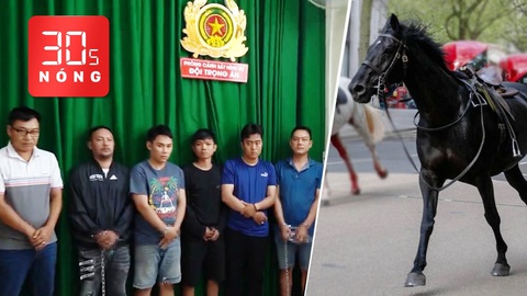 Bản tin 30s Nóng: Bắt 12 người trong đường đánh bạc trăm tỉ; Ngựa kỵ binh náo loạn đường phố