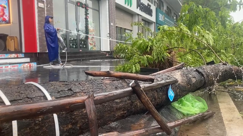Nhiều cây cối, hàng rào, mái nhà bị đổ sau bão số 2