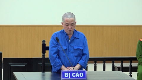 Lãnh 12 năm tù vì chiếm đoạt trên 651 triệu tiền bán hàng của công ty