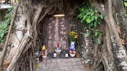 Công an đang điều tra nguyên nhân bia đá cổ dưới gốc cây đa gần Chùa Cầu Hội An bị tẩy xóa