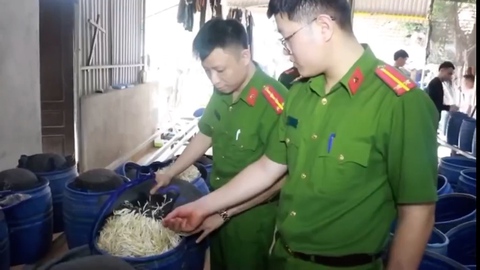 Công an Nghệ An bắt 4 người sản xuất 3.500 tấn giá đỗ 'ngậm' hóa chất