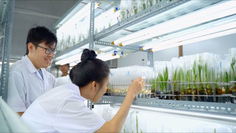 Cùng Bạn Chọn Ngành: Ngành Công nghệ sinh học ở trường Đại học Trà Vinh