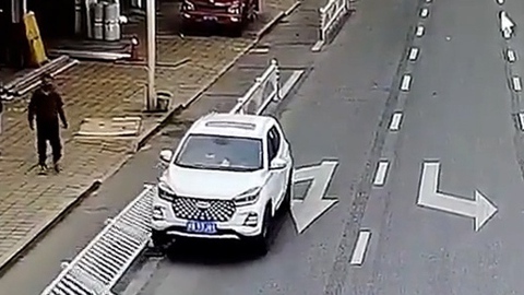 Để thú cưng trong xe hơi đang nổ máy, chủ xe suýt gây họa cho người đi đường