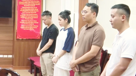 Pháp luật quy định ra sao đối với hành vi sai phạm của Quang Linh Vlogs, Hằng Du Mục?
