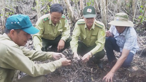 Góc nhìn trưa nay | Vì sao miền Tây có mưa trái mùa nhưng nguy cơ cháy rừng vẫn cao?