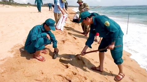 Dầu vón cục dạt vào bãi tắm ở Tuy Hòa, đã thu gom được 200kg dọc 3km bờ biển