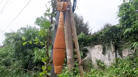 Đi thăm rẫy, người dân tá hỏa phát hiện quả đạn cối còn ngòi nổ treo trên cột điện