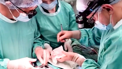 Video bác sĩ ở Kiev lái xe chở quả tim xuyên bom đạn, kịp cấy ghép cứu sống bé gái