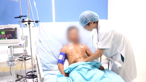 Bị ong vò vẽ đốt hơn 30 vết, người đàn ông 68 tuổi suýt mất mạng