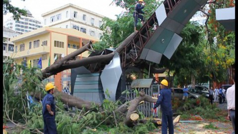 Cây bật gốc đè sập cổng trường đào tạo cán bộ