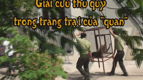 Giải cứu thú quý trong trang trại của “quan”