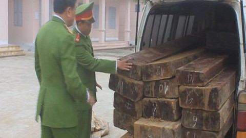 Bắt hai xe gỗ lậu từ rừng phòng hộ đầu nguồn.