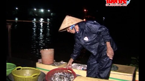 Chợ âm phủ giữa Đổng Tháp Mười