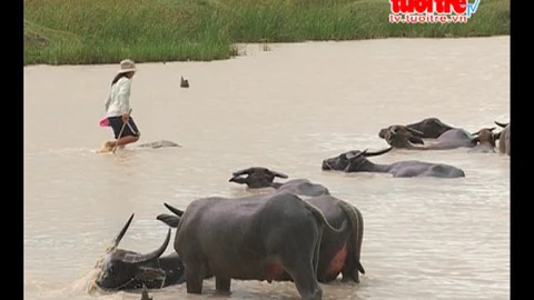 Cùng bạn vượt khó